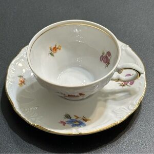 Winterling Bavaria Floral Teacup and Saucer